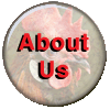 About Us button